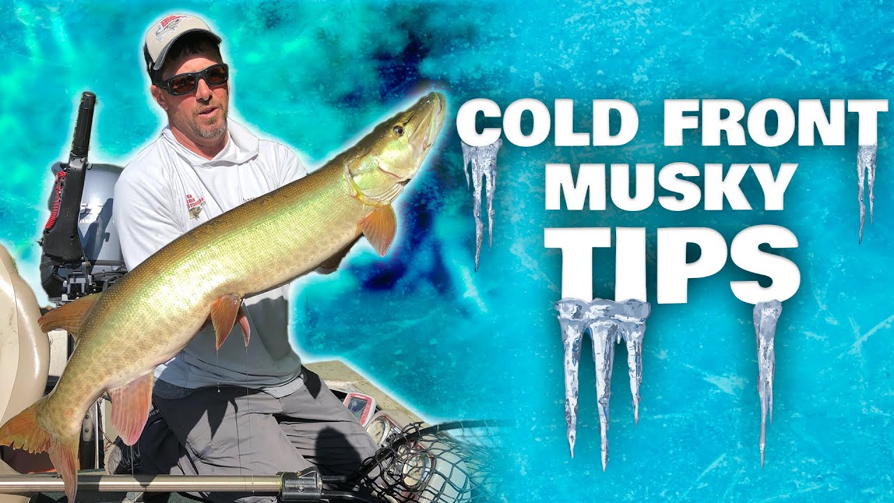 Cold Front Musky Fishing Tips