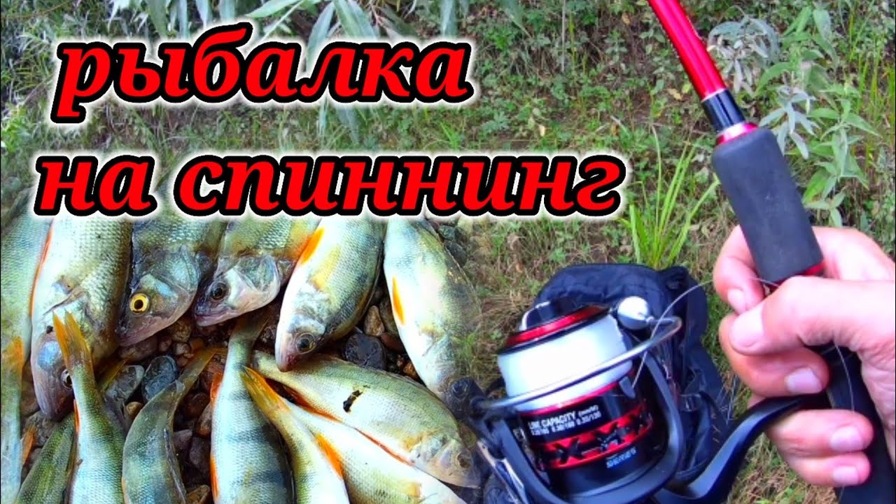 Красный комплект Сработал ☝. Рыбалка на спиннинг на реке Лебедь.