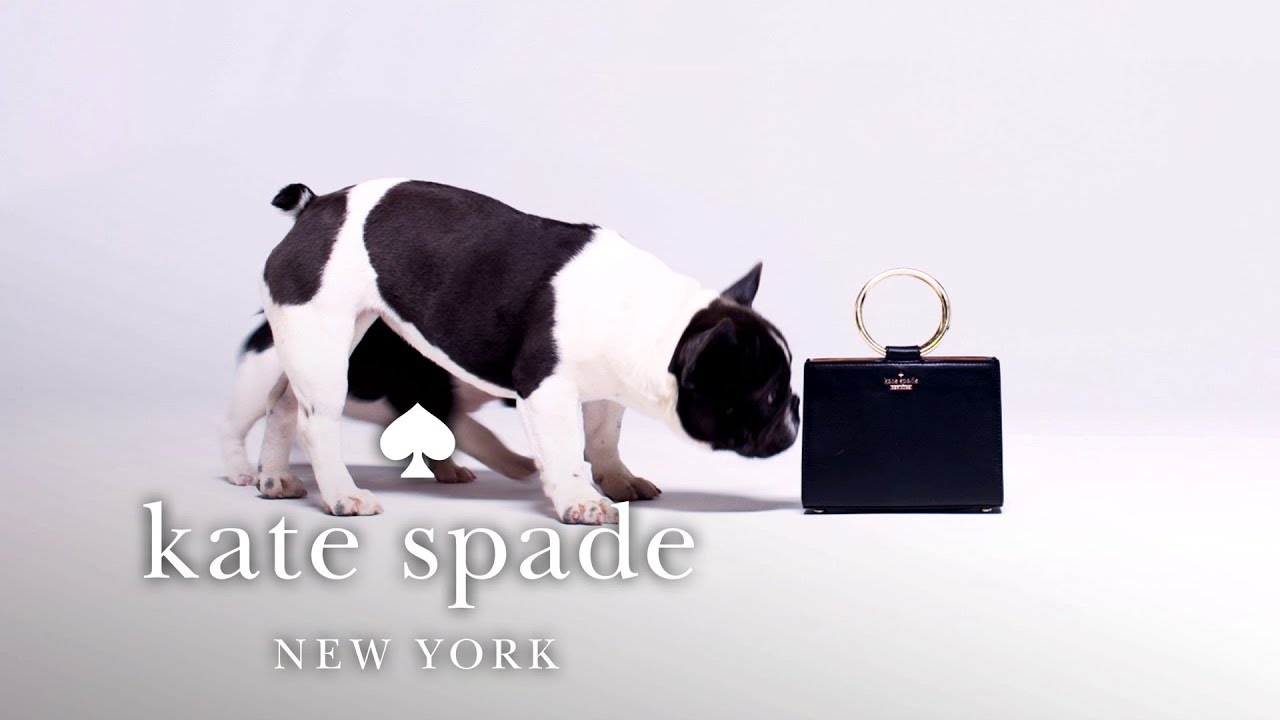 the sam bag, now in mini | kate spade new york