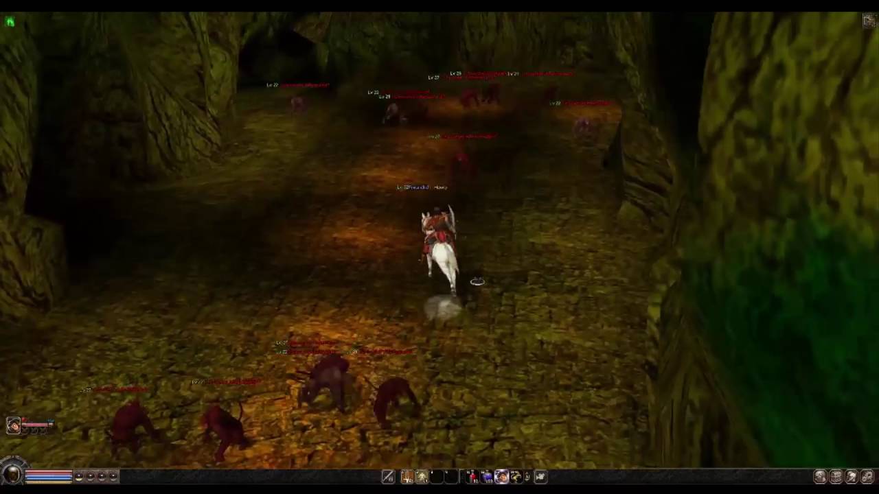 Metin2 Weg zur Affendungeon Endkammer | Metin2 Weg zum Felsenaffe/Gehender Affe/ Affen-Lord