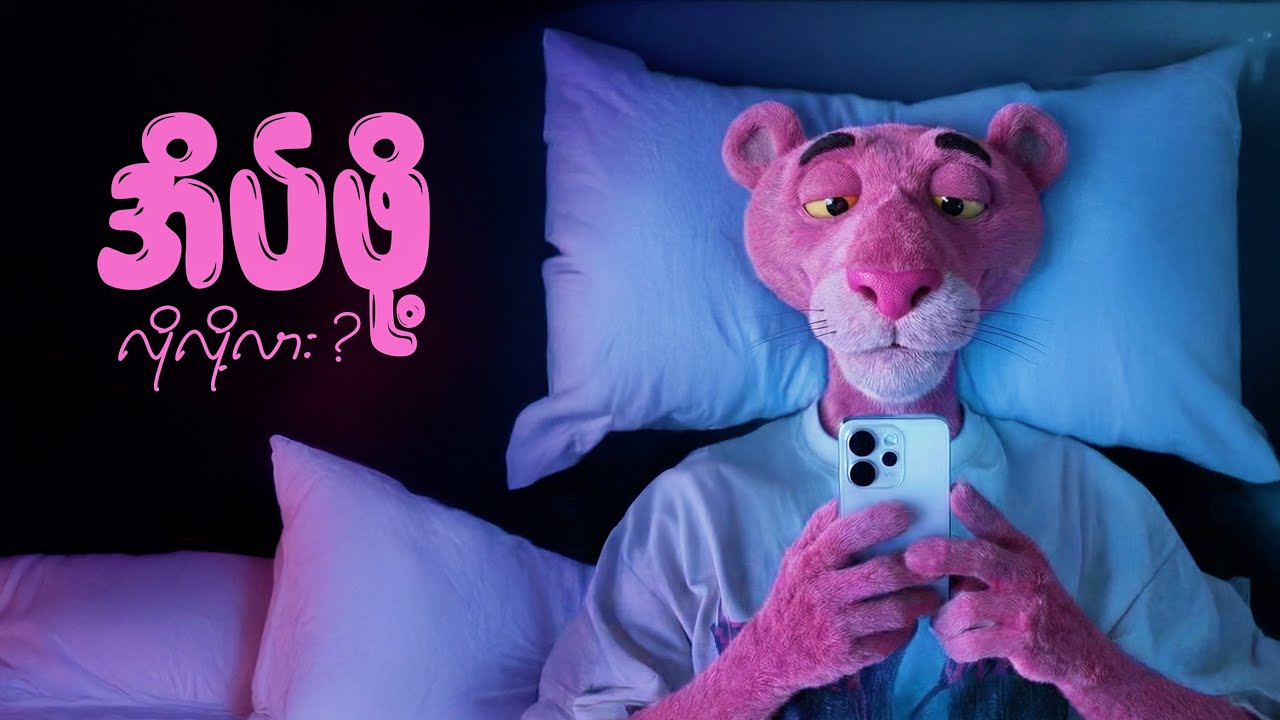 အိပ်ဖို့က လိုလို့လား?