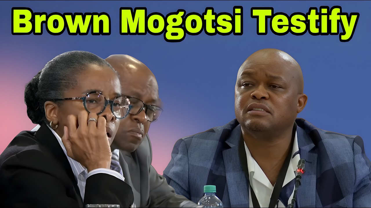 Madlanga Commission of Inquiry. Brown Mogotsi.