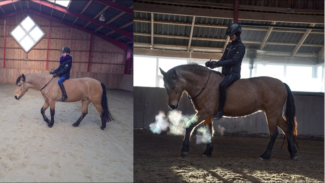 5 years bridleless | Lene & Irish