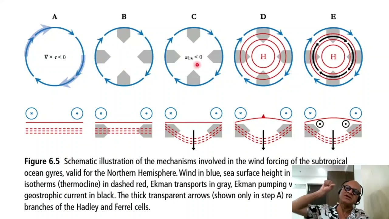 2   Wind Stress Curl and Sverdrup Transport
