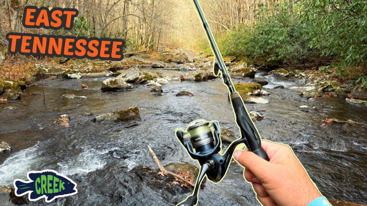 Rooster Tail Creek Trout Fishing