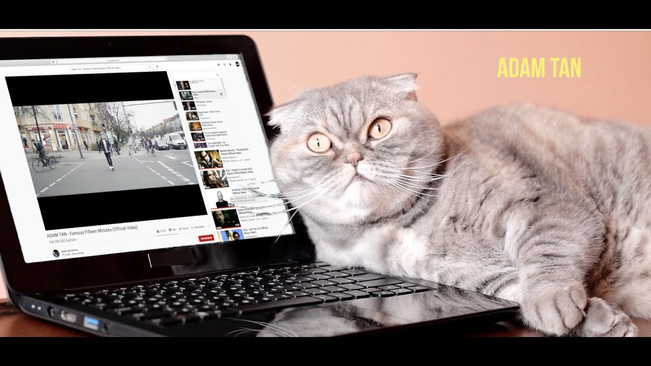 ADAM TAN - Famous Fifteen Minutes (Official Video)