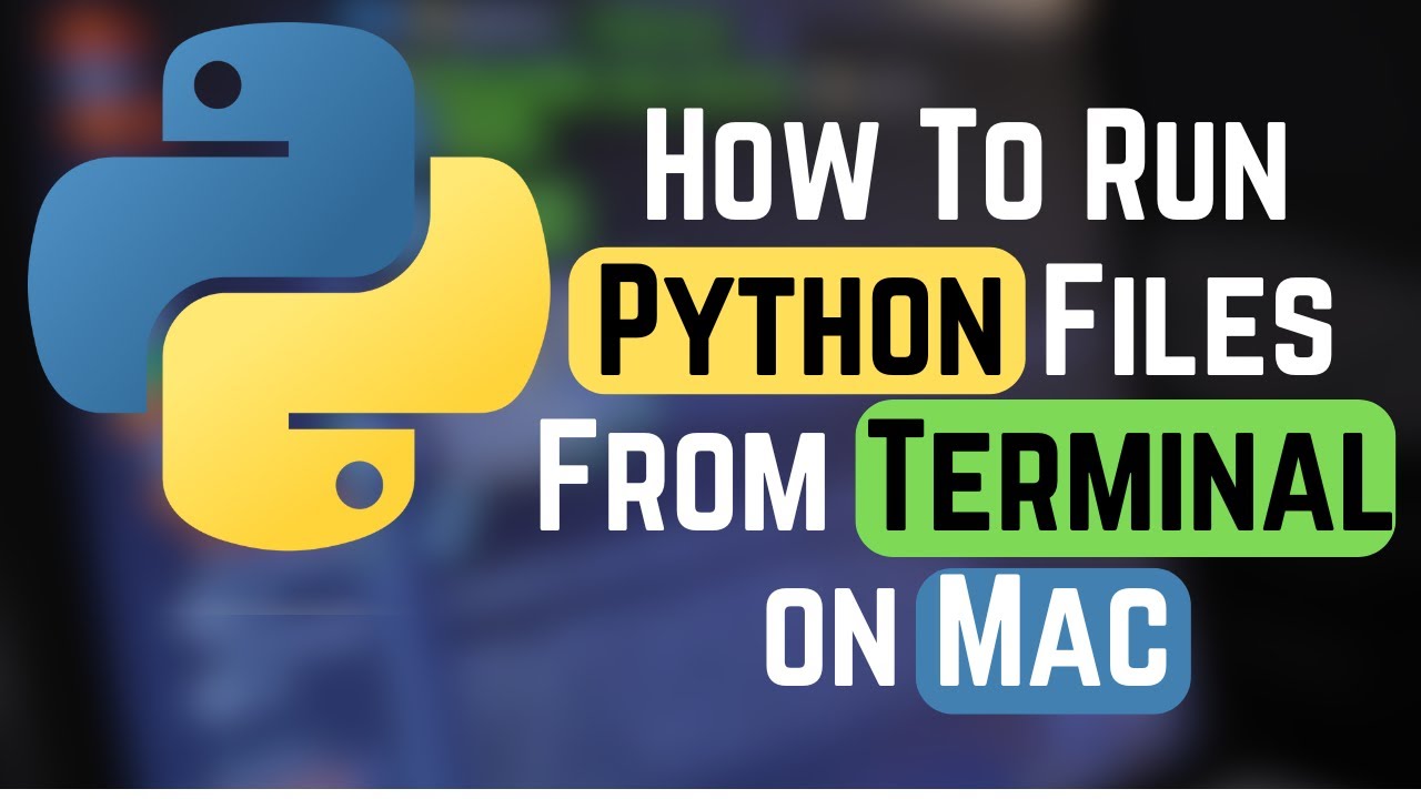 Как запустить файлы Python из терминала на Mac