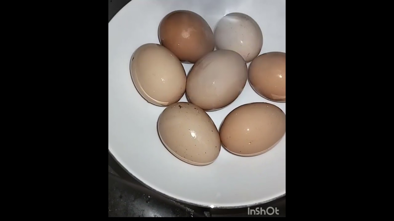 أسهل وصفة الجلبانة (البازلاء)😚😚😚