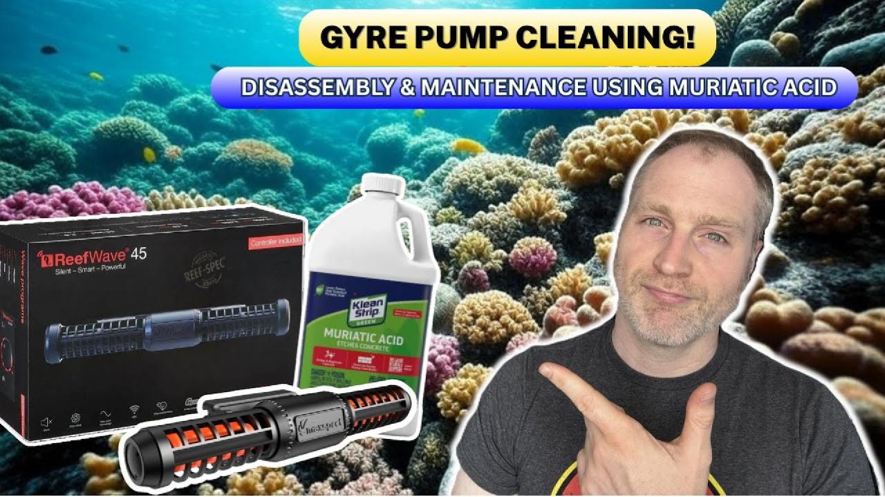 Cleaning your ReefWave Gyre Pump With Muriatic Acid!