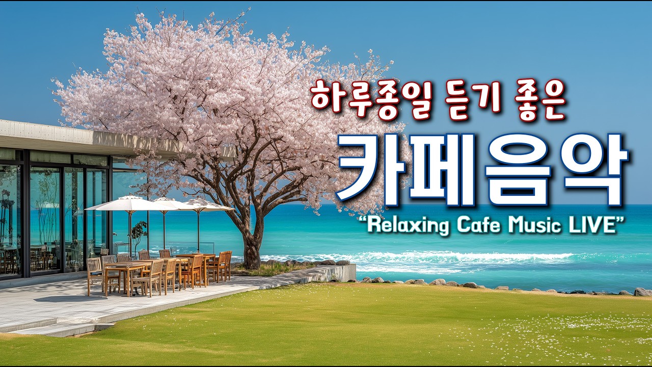 편안한 카페 음악과 하루를 함께 하세요 ☕일할때 듣기 좋은 음악 🎧아침에 듣기 좋은 음악 | Relaxing Cafe Music Playlist 260305