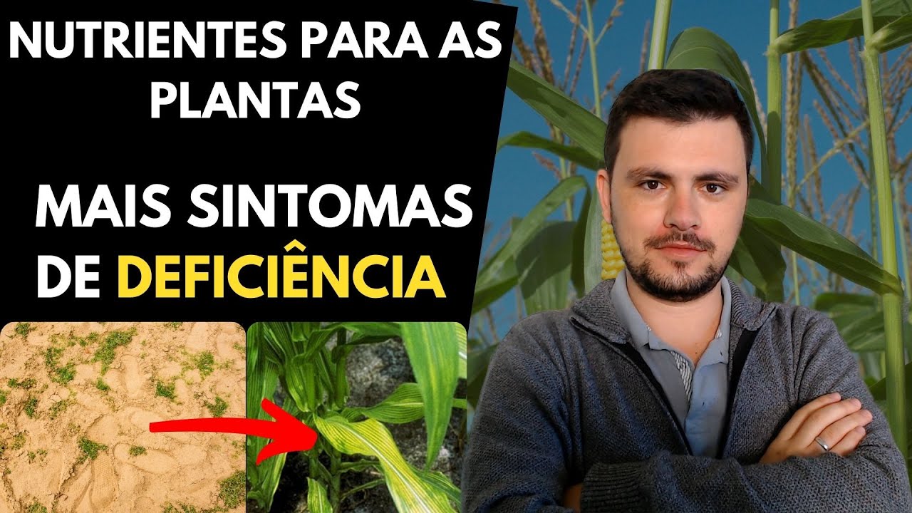 Nutrientes para culturas agr&iacute;colas (N&iacute;veis de DEFICI&Ecirc;NCIA e TOXIDEZ)
