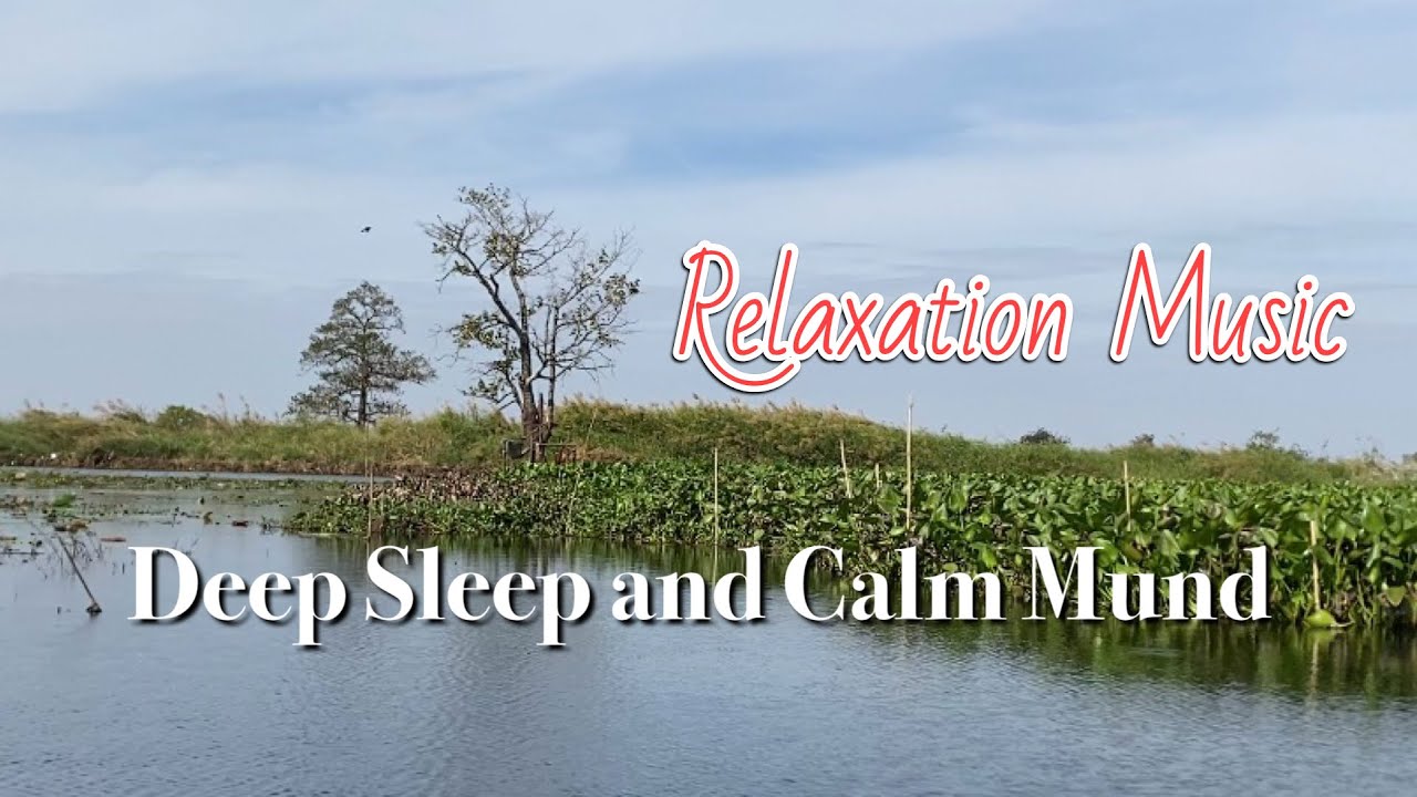 Serene Riverside Sounds / Soft Relaxing Music for Sleep, Study & Healing