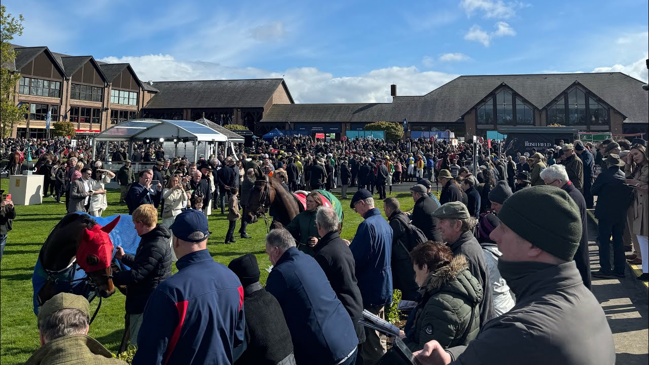An Honest Day Punting - Punchestown Part 2 🇮🇪🐎