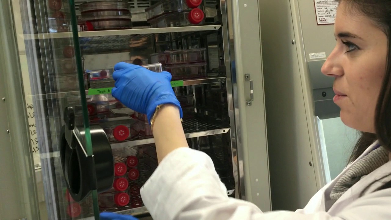 Laboratorio científico