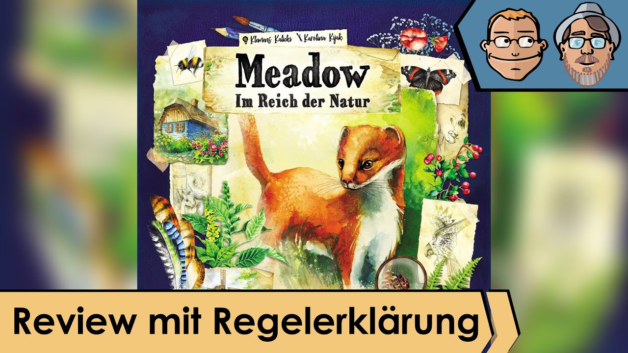 Meadow Im Reich der Natur – Brettspiel – Review und Regelerklärung