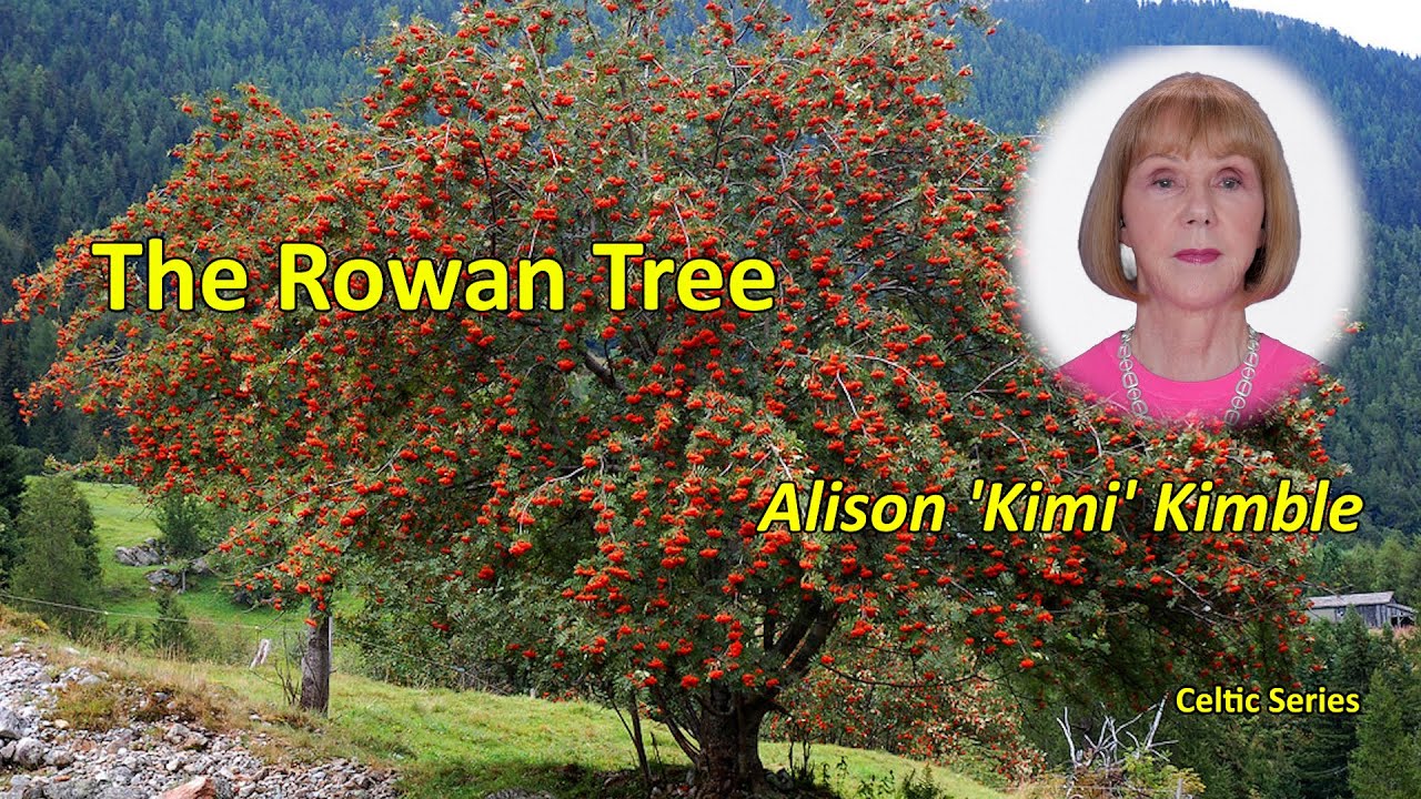 The Rowan Tree