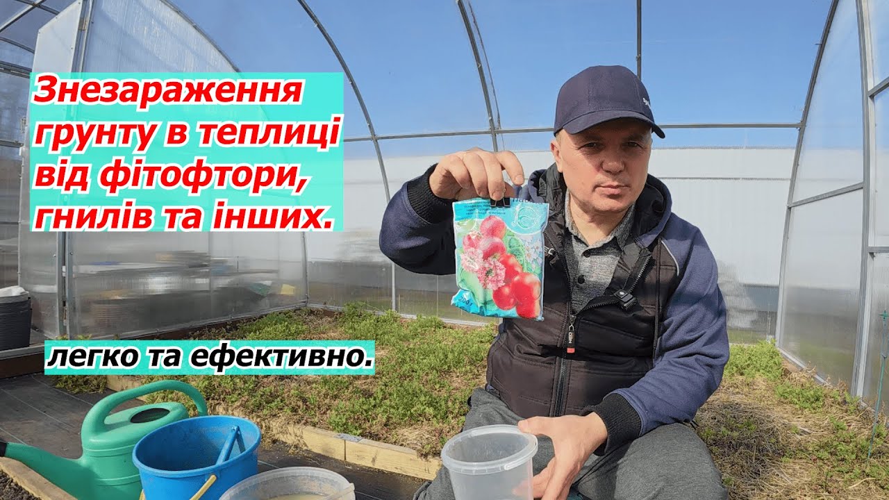 Знезаражуємо грунт в теплиці за допомогою фітоспорину- як це робимо.