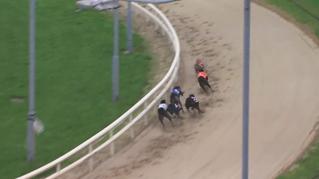 Pestana's Record Breaking Run!