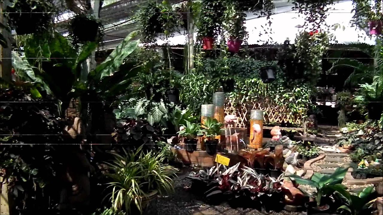 Blomsterhandler.wmv