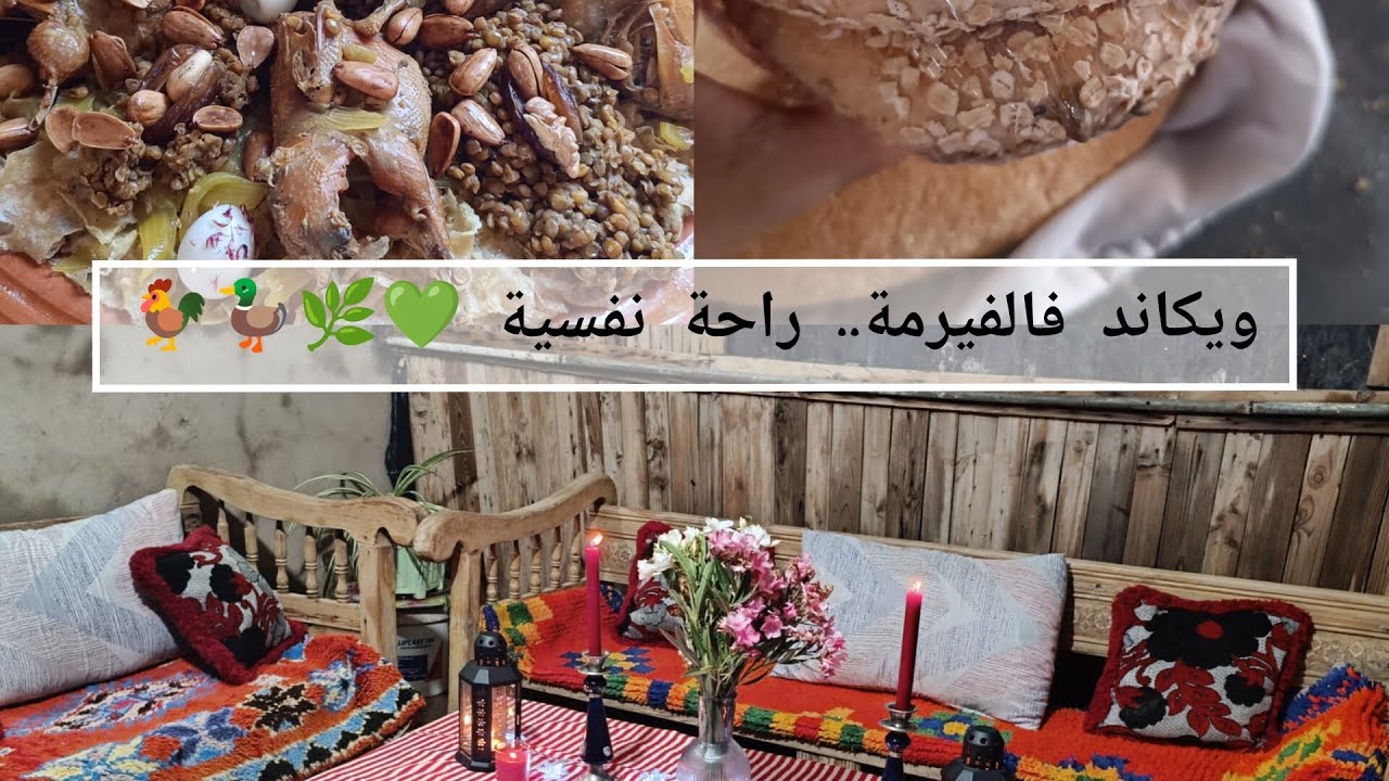 نهاية الأسبوع من الفيرمة 🦆🐓🦃، جبنا السمان ودوزنا عراضة مع جيرانا 💚/ فران بلدي/ فرحة البادية🪿🕊️🐰🐝.
