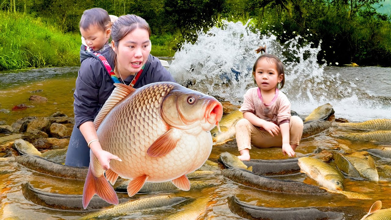 Family Fishing: Blocking Water to Catch Giant Fish and Sell at the Market