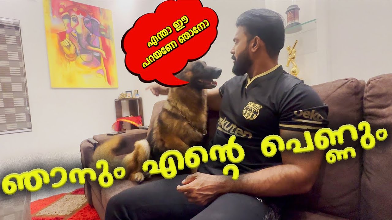 ഞാനും എന്റെ പെണ്ണും  | VIVEK GOPAN | DALIY VLOG |