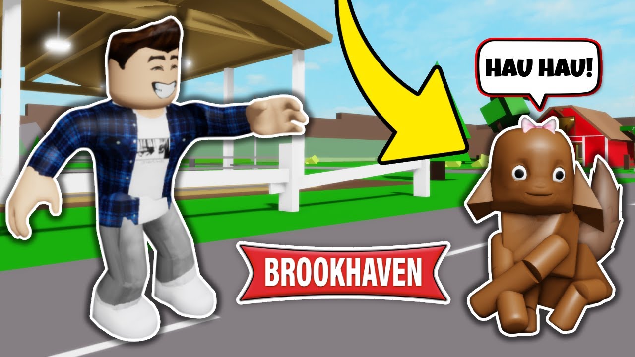 URATOWAŁEM PORZUCONEGO PSA NA BROOKHAVEN!