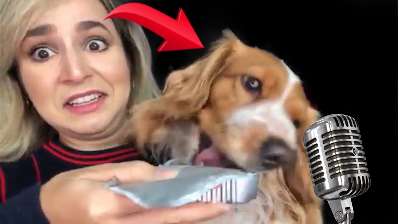 ASMR COM MEU CACHORRO | WITH MY DOG