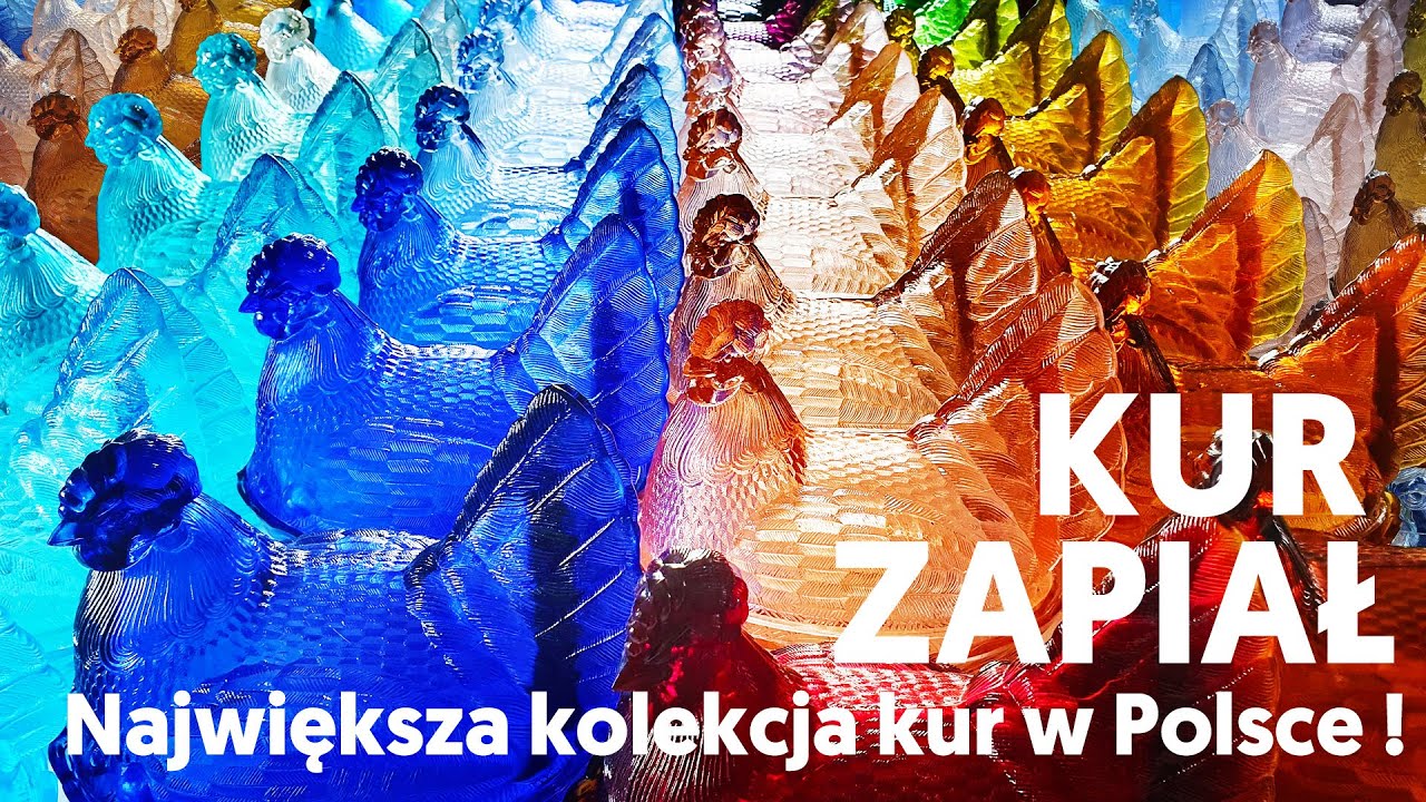 KUR ZAPIAŁ! (! ! ! 140 szklanych kur. Największa kolekcja kur w Polsce ! ! ! )