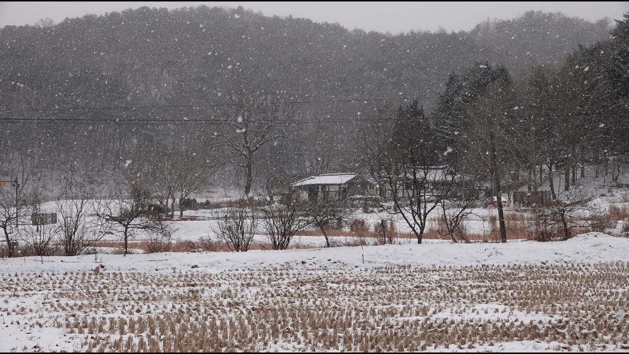 청주 여행  추천 상당상성 한옥마을 눈내리는 풍경
