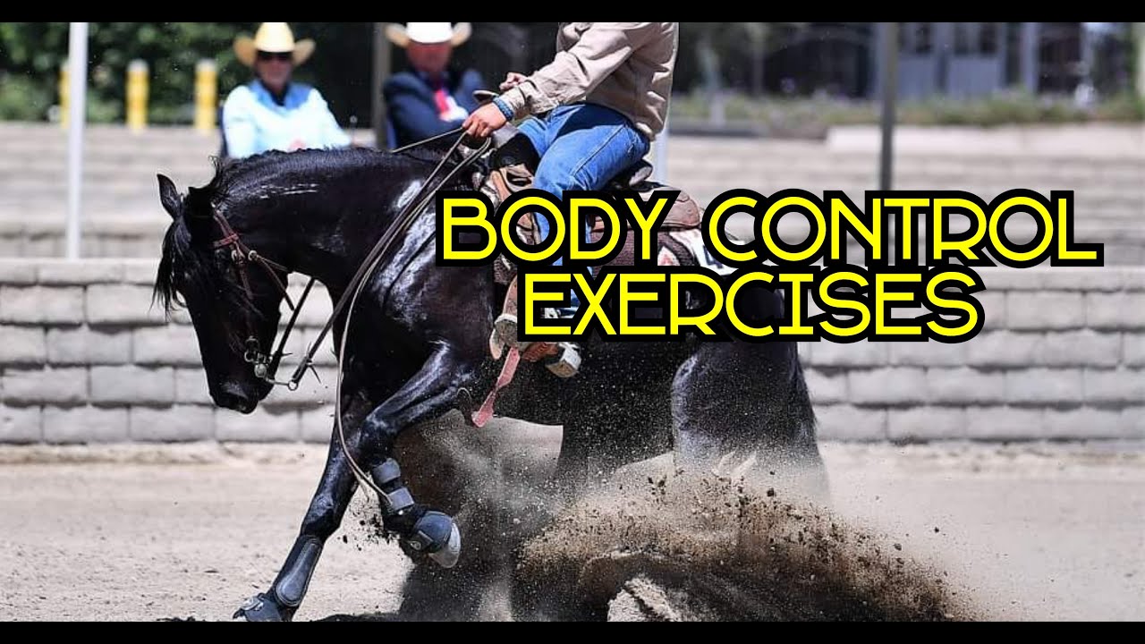 Body Control Exercises for Horses