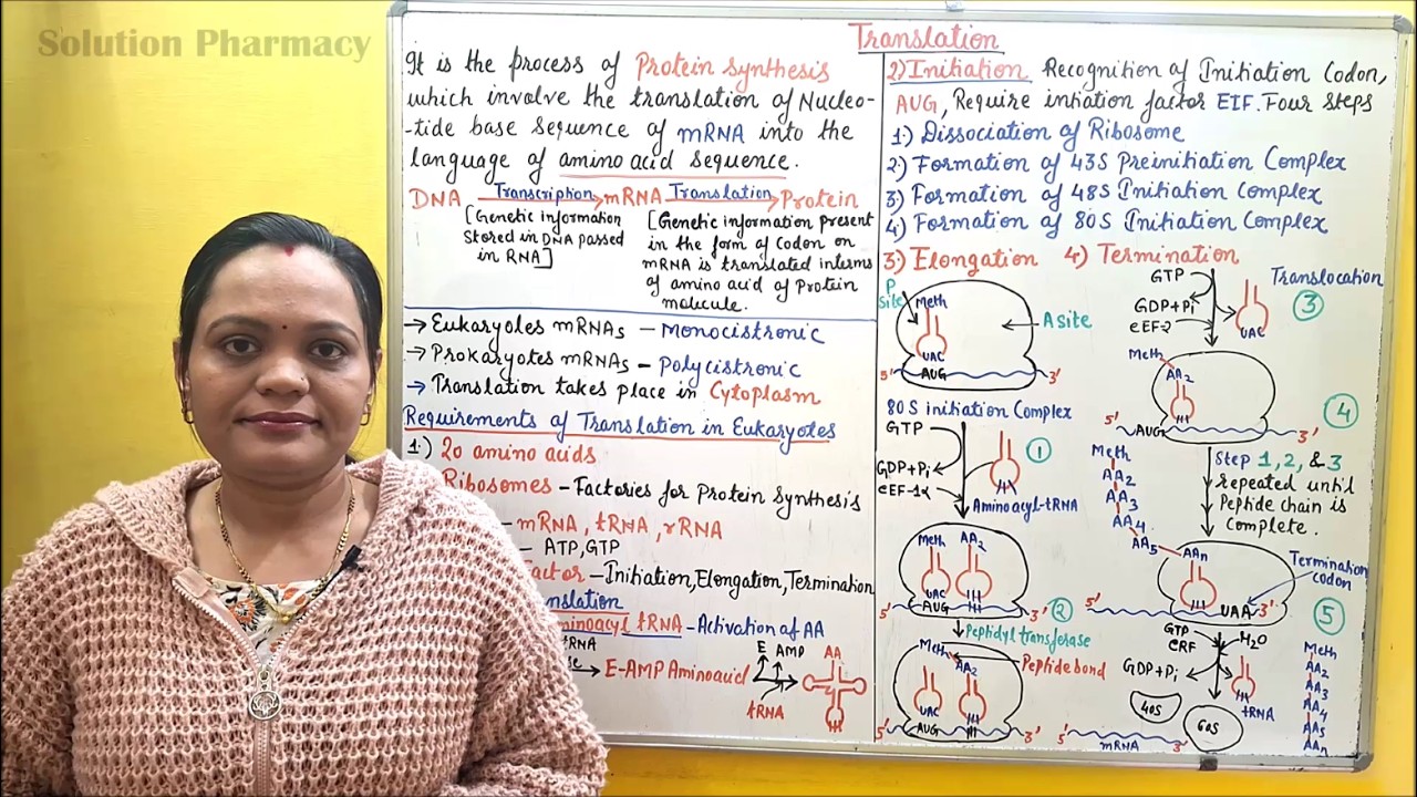 (69) Translation (Protein Synthesis): Easy and Detailed Explanation | Steps of Translation Process