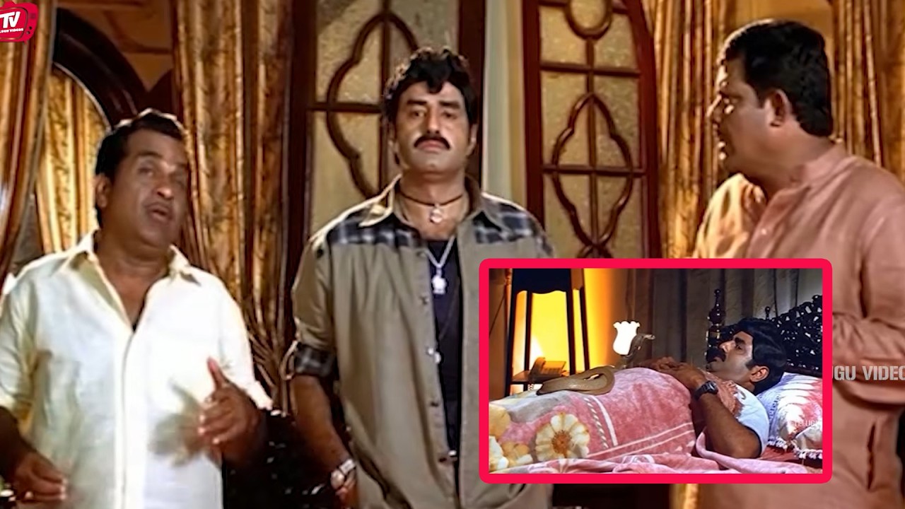 Nandamuri Balakrishna & Brahmanandam Ultimate Comedy Movie Funny Scene | @TeluguVideoZ