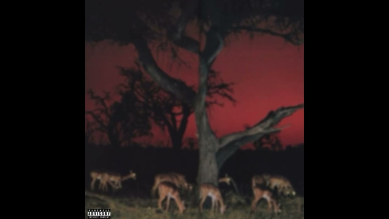 slimggp - aye aye [yung brando + stoopidxool]
