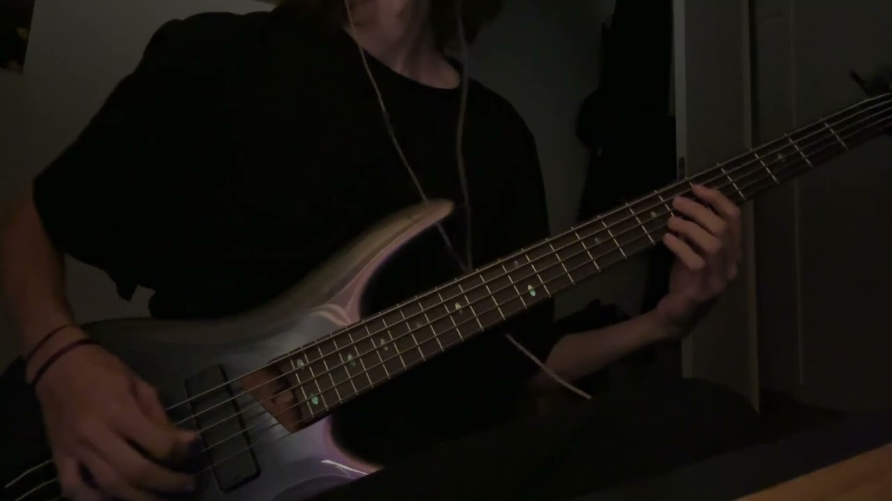 Prison Song - System Of A Down - Bass Cover