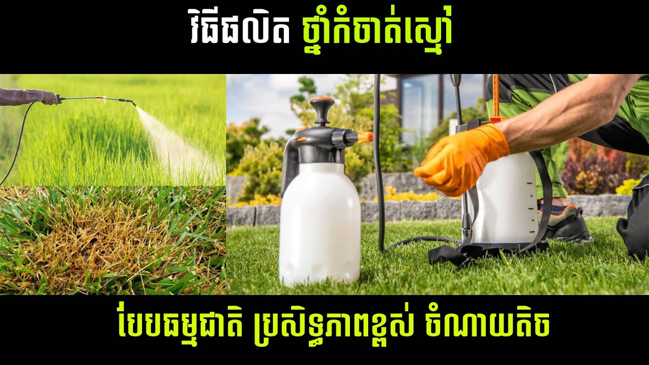 រូមមន្តផលិត​ ថ្នាំកំចាត់ស្មៅបែបធម្មជាតិ មានប្រសិទ្ធភាពពិតៗ