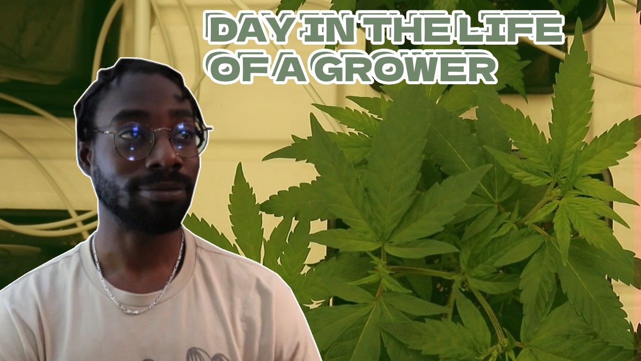 Day In The Life of a Indoor Grower
