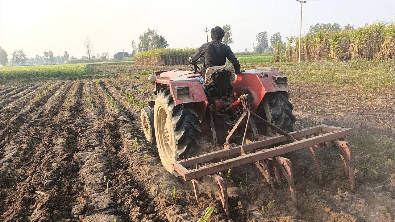 Mahindra tractor sa talar cala rhi tha🚜🚜🚜🚜🚜