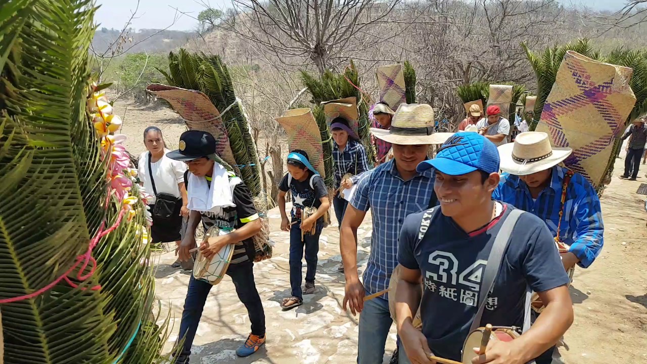 Los Hojeros de Suchiapa, 2017