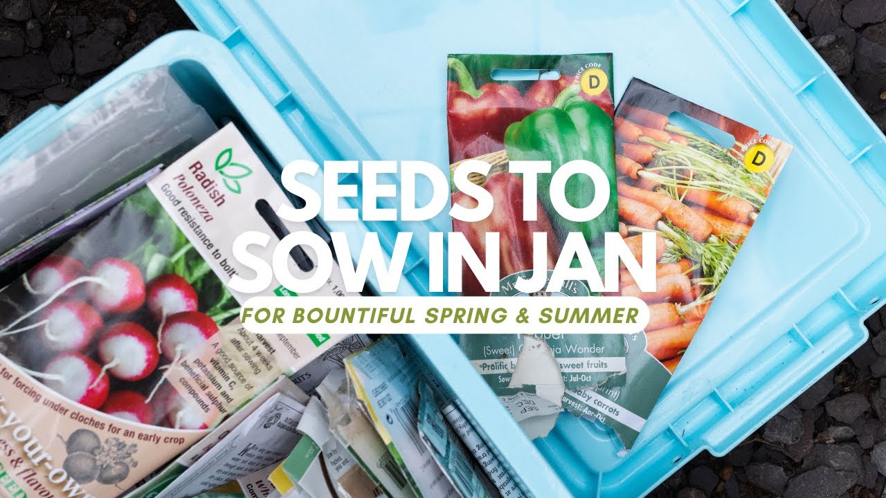 Seeds to Sow in January