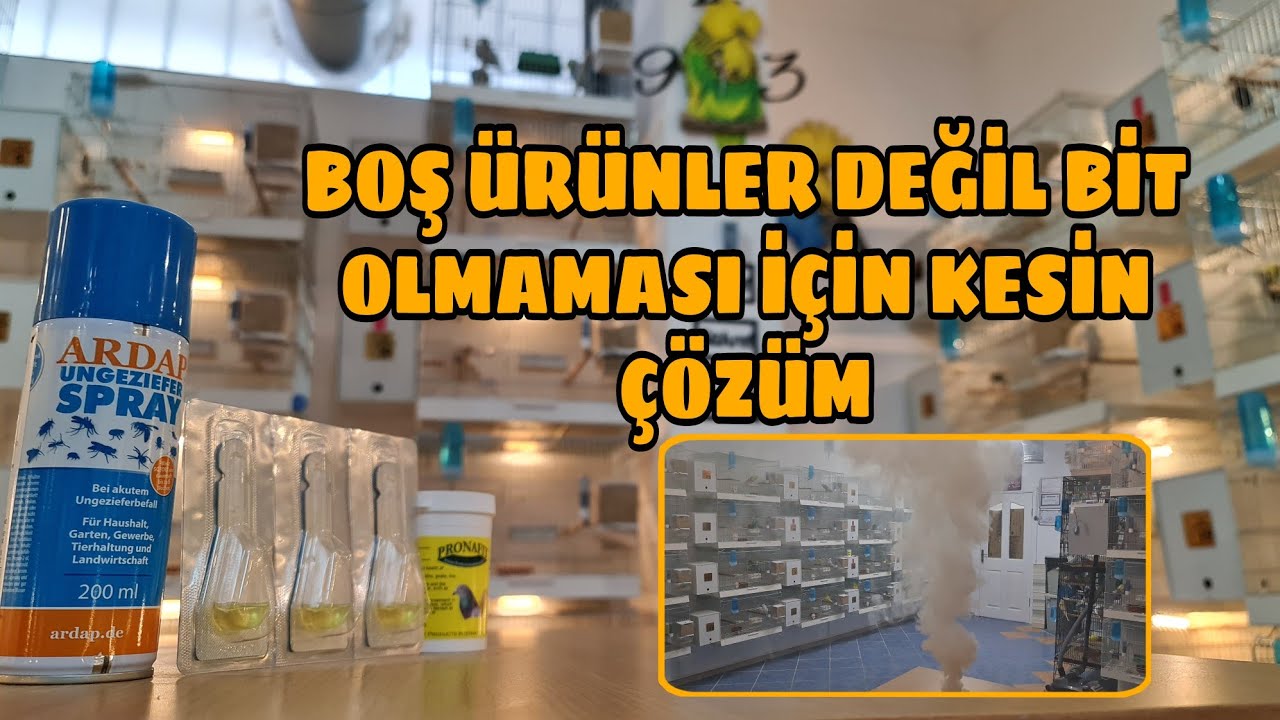Yaz Dönemi Öncesi Dış Parazit Bit Oluşumuna En Etkili Yöntem