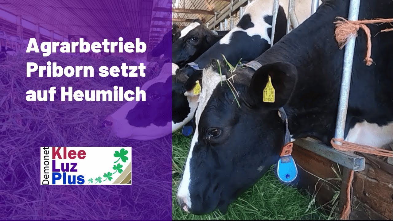 Agrarbetrieb Priborn setzt auf Heumilch