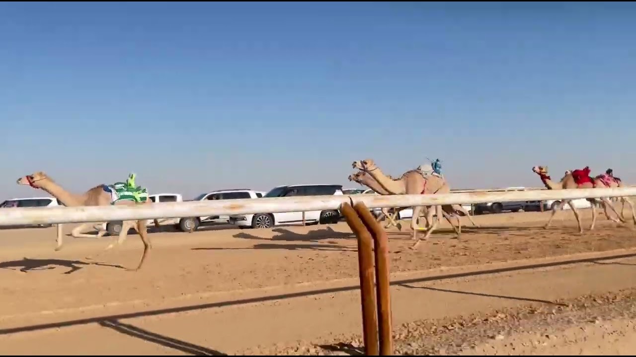 رعد / جباره محمد الجباره 