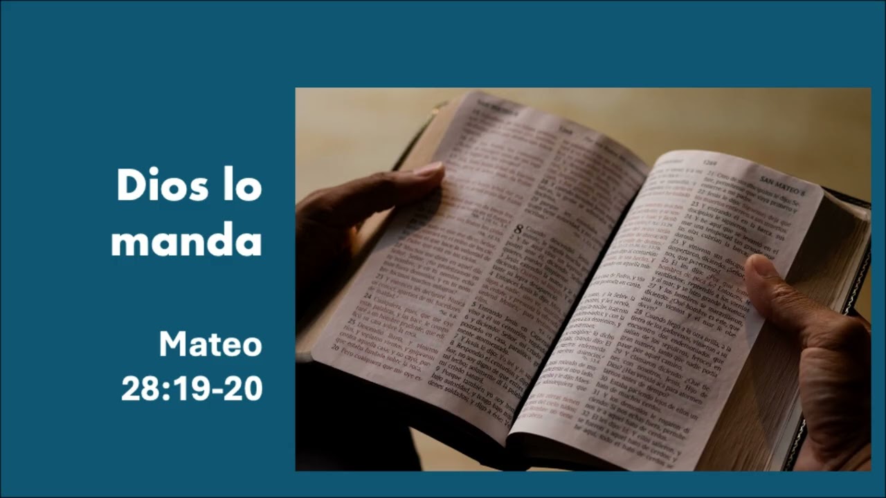 Constantes en la Evangelización |  Creciendo en Constancia