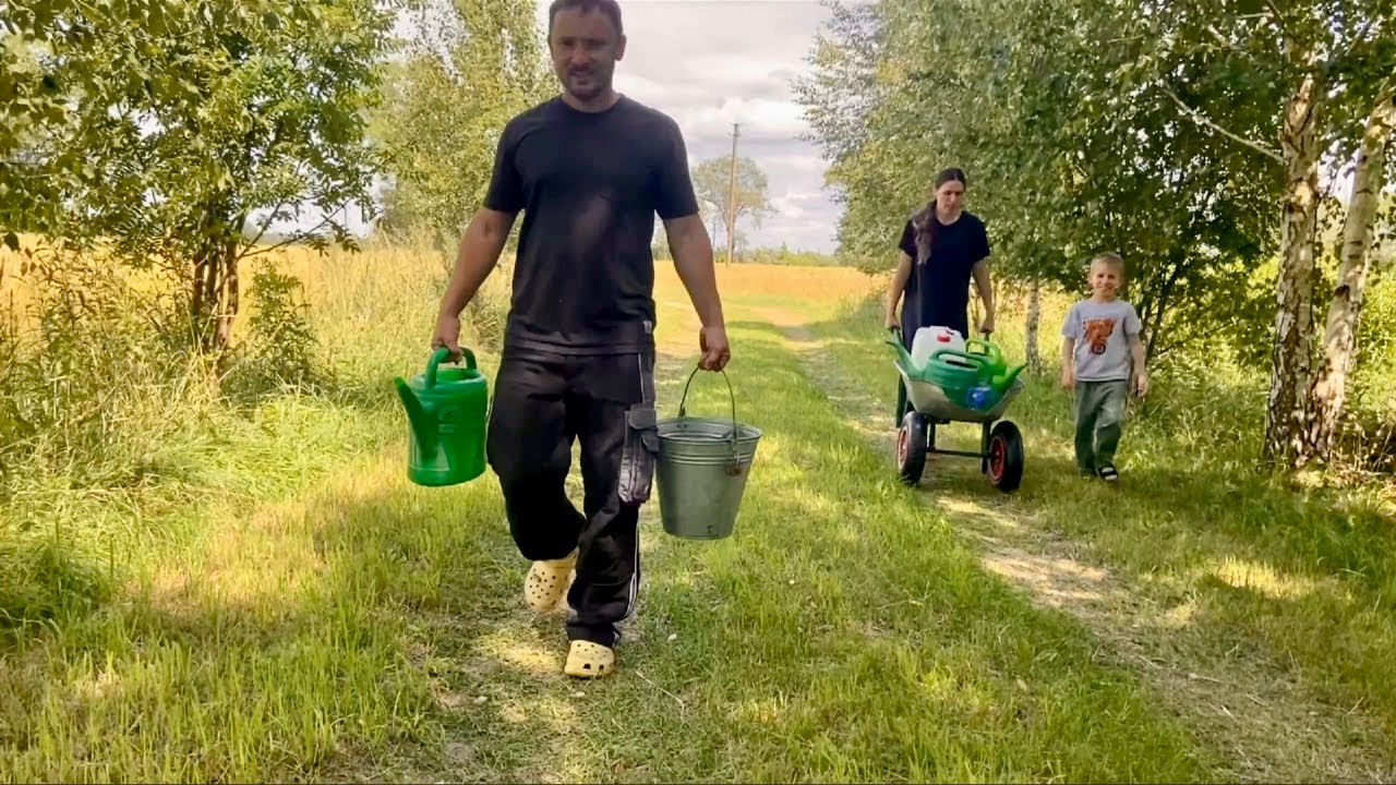 We left the City Life to Build a Peaceful Life Off-Grid&ndash;Homesteading