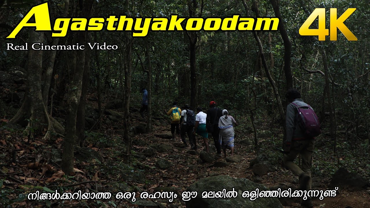 Agasthyarkoodam Trekking!!! 4K