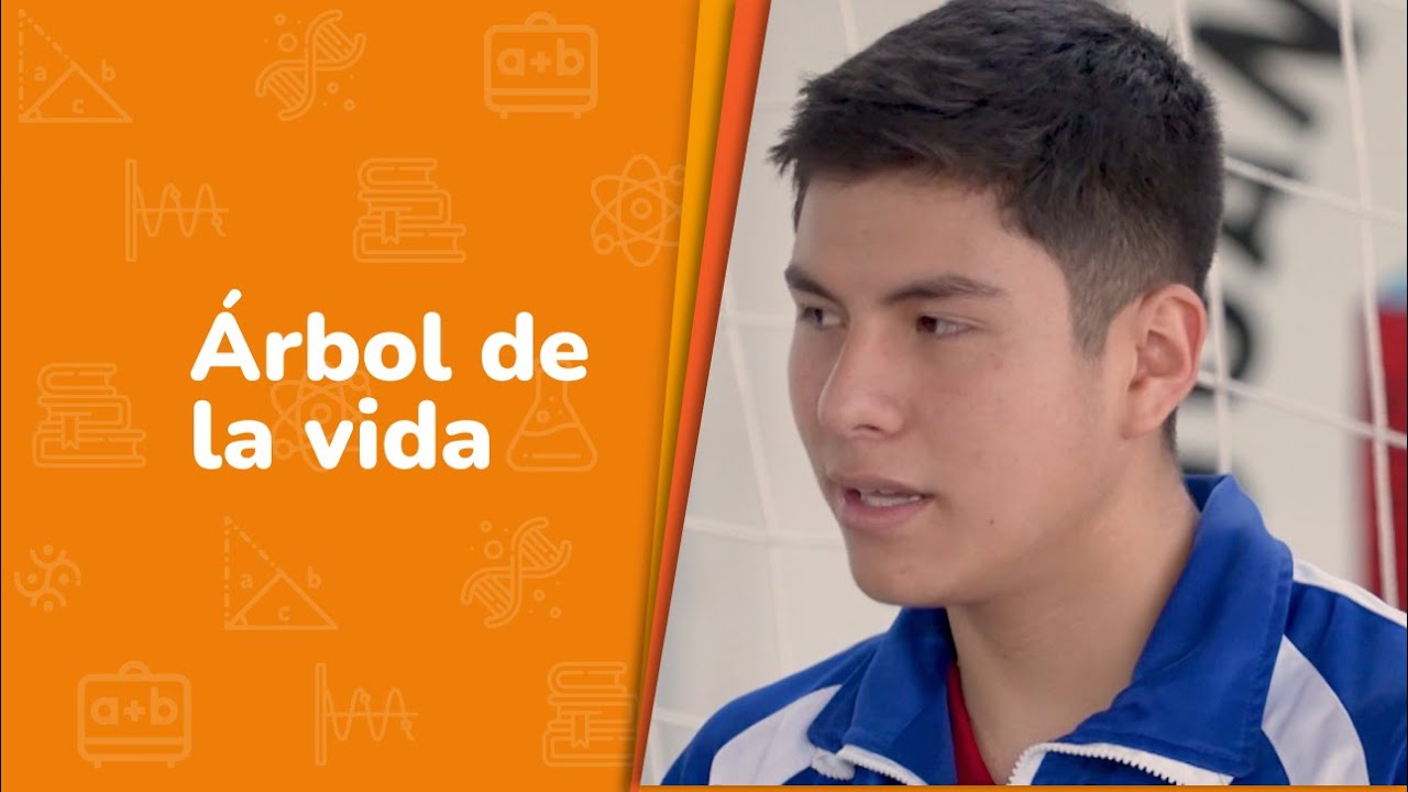 Árbol de vida • De lo humano y lo comunitario • 3er grado | Video detonador