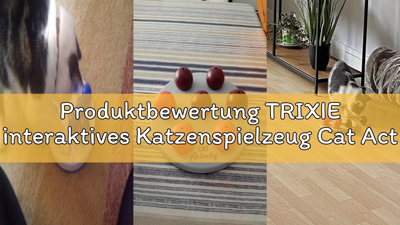 Produktbewertung TRIXIE interaktives Katzenspielzeug Cat Activity Solitär, Intelligenzspielzeug für