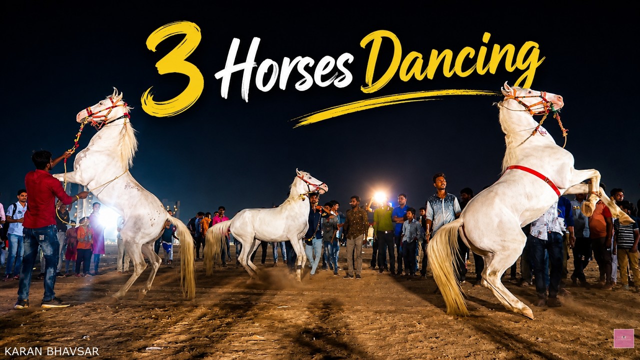 3 Horses Dancing 🦄 on Music Beat *Unbelievable*