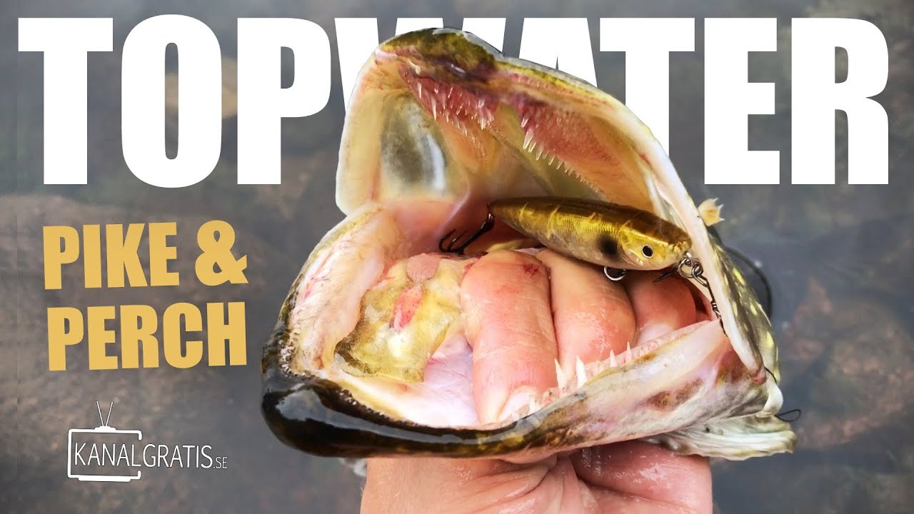 TOPWATER PIKE and PERCH from the Shore - using a Deeper Sonar (River Fishing)